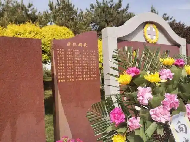 有的人离去了,他的躯体还活着!