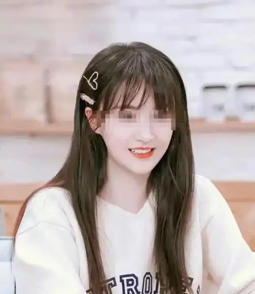 合伙人海外追债郑爽国内已无财产可供执行境外却还有6个亿