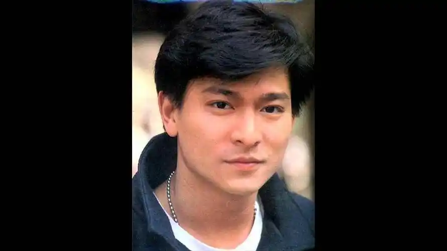 真的觉得王怡人长得像年轻时候的刘德华