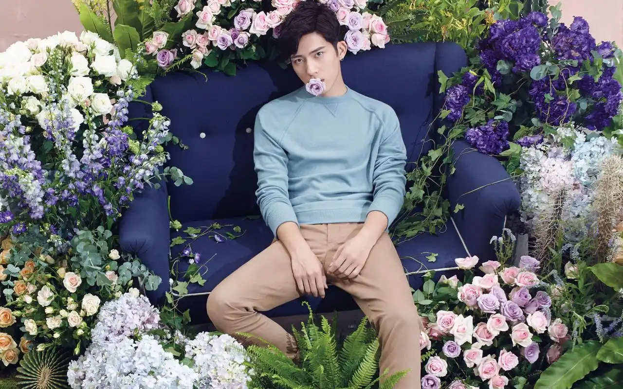 井柏然时尚高清魅力写真桌面壁纸