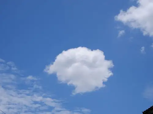 晴空万里,万物明朗. - 雪的小花花