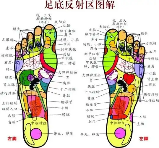 加入御侨品牌需要投入多少足疗项目排行榜no1
