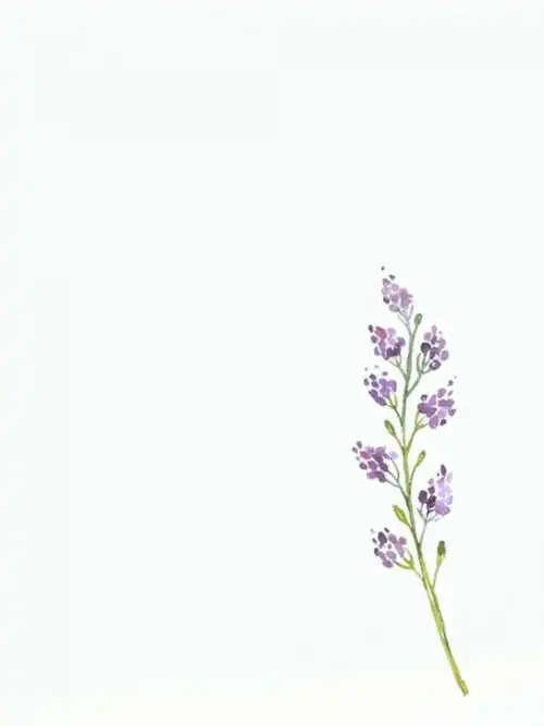 言辞简约森系壁纸小清新