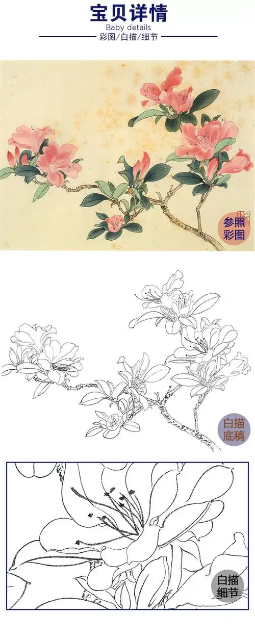 俞致贞工笔花鸟白描底稿花卉杜鹃花斗方小品册页jv53