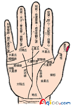 手相位置年龄参考解析图