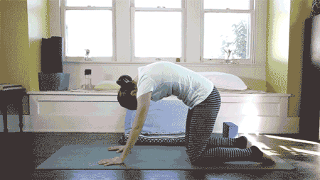 450_254gif 动态图 动图