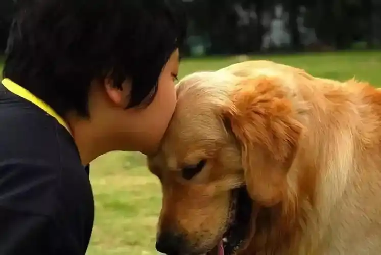 有的人养狗,养的只是一只狗的子宫!