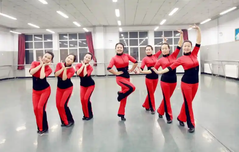 江苏一群大妈徒手挪车,只为腾地方跳广场舞,大妈这样做合适吗?_阿姨