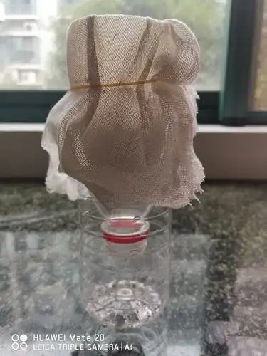 其它 自制过滤器 写美篇如图所示,将携有大型杂质的水倒入,将另一个