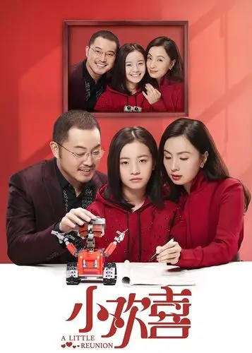 李庚希是谁和徐静蕾有什么关系?李庚希小欢喜演什么角色?(2)