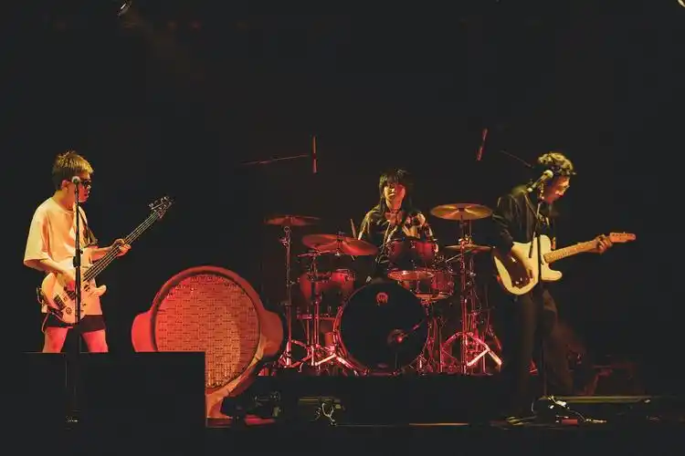 醉鹅娘×白皮书乐队 |边吹瓶子边看live的梦想终于实现了