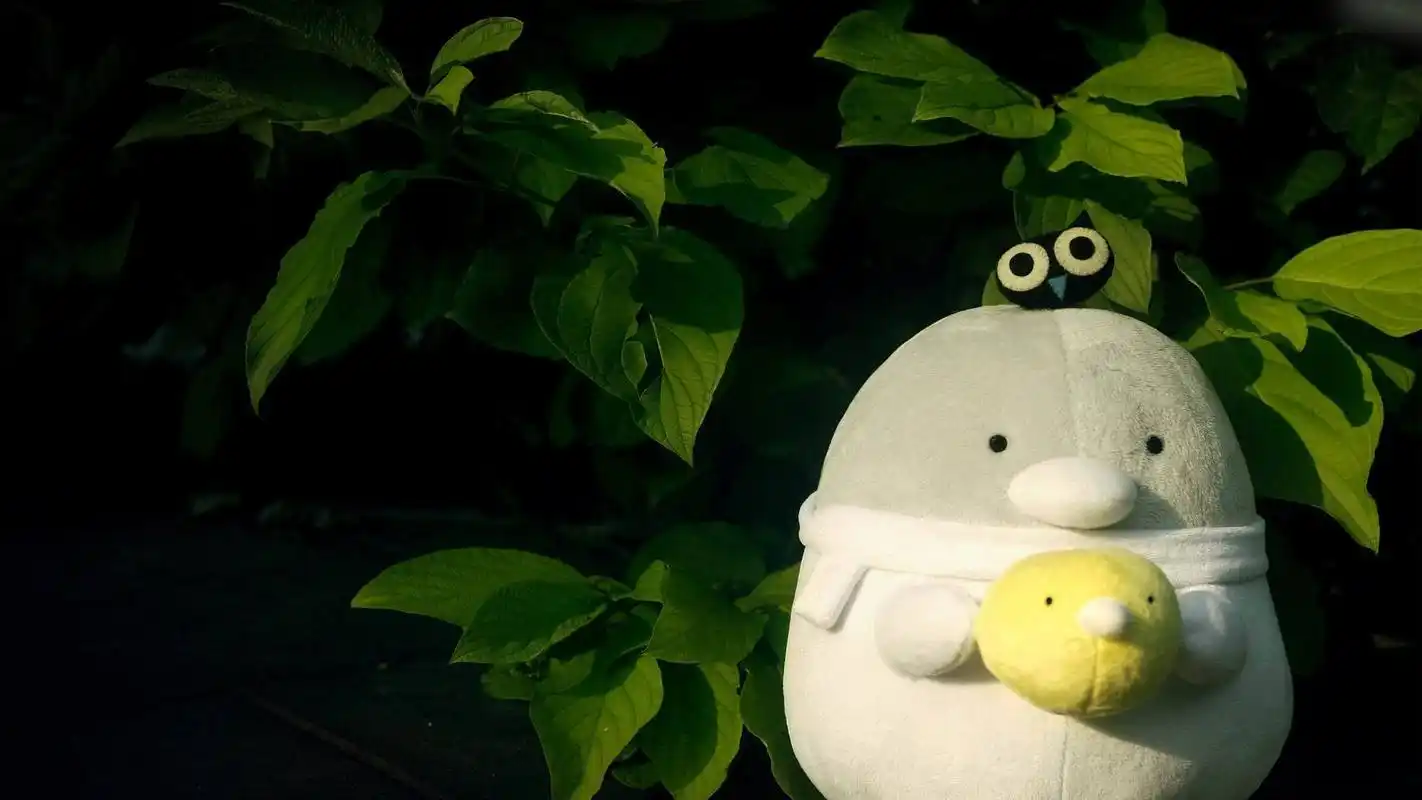 精选绿色清新护眼高清风景植物花卉桌面壁纸下载