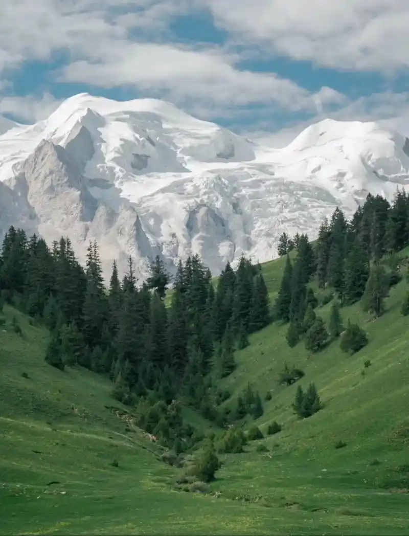 壁纸 风景 1290_1690 竖版 竖屏 手机