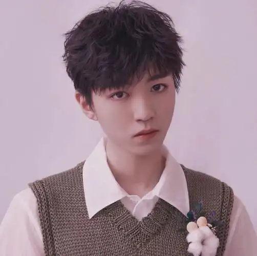 头像,王俊凯头像,王俊凯二传注明堆糖宋辞城