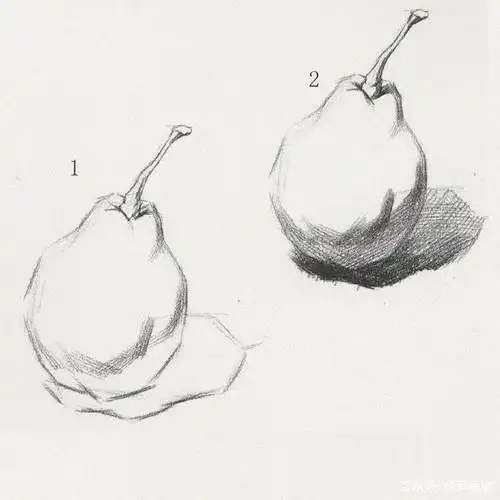 零基础学素描1-素描单体梨子的画法步骤