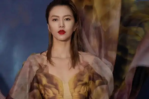 谭维维个人简历