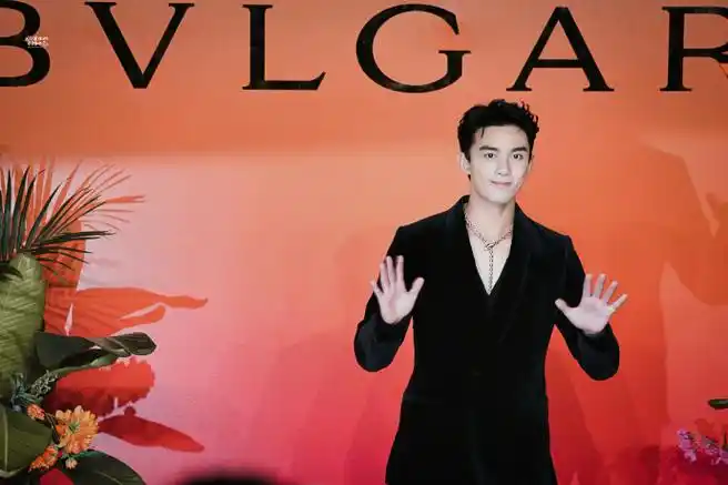 吴磊宝格丽品牌代言人