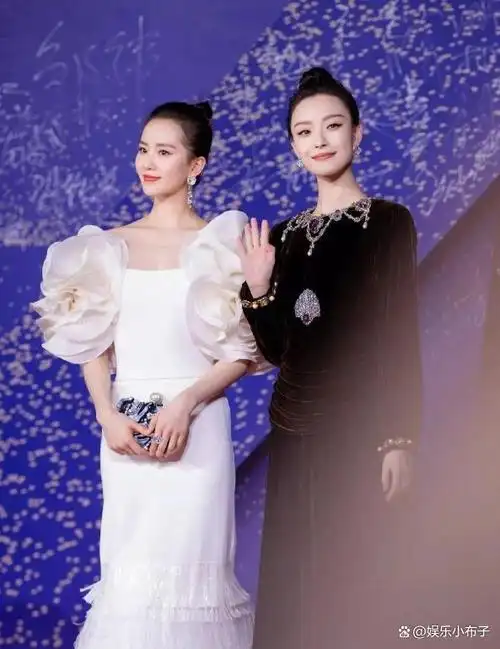 曾经,倪妮和刘诗诗曾一同现身红毯.