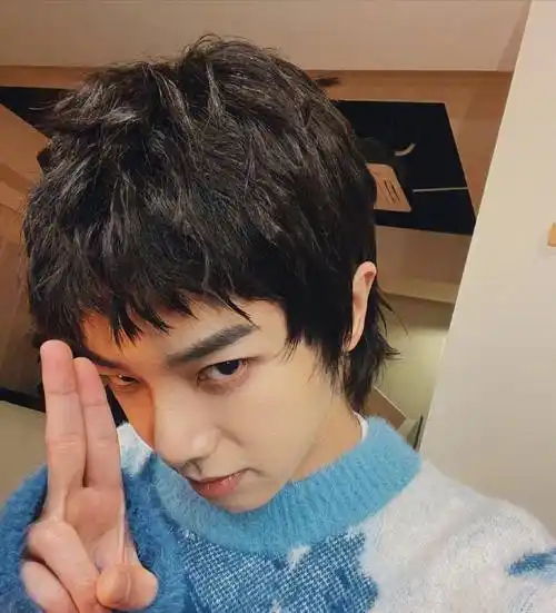 华晨宇公开寸头自拍照,他的底气从何而来_生活_短发_发型