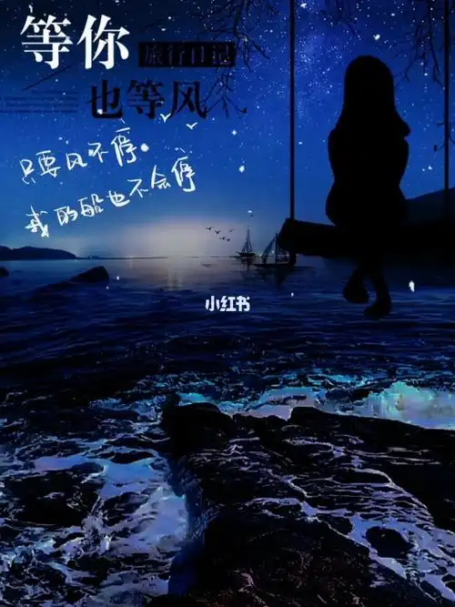 等风也等你
