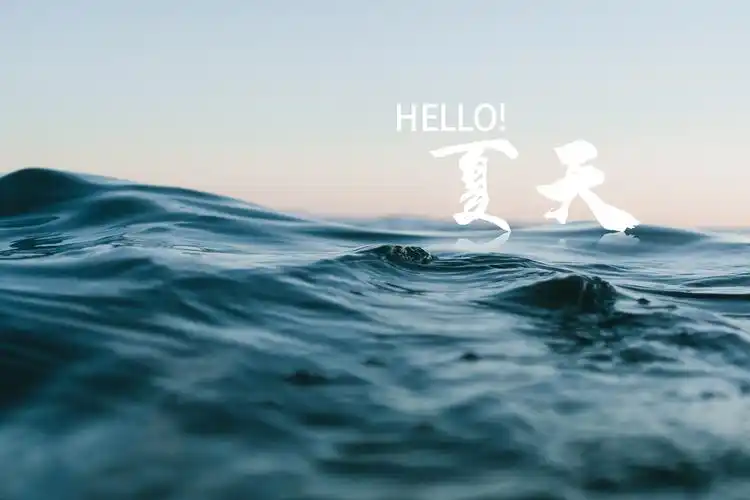 你好夏天的大海