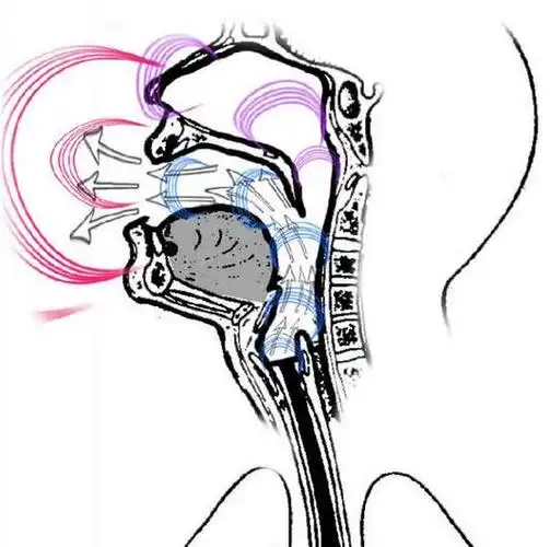 什么是头腔共鸣?头腔共鸣是什么感觉?