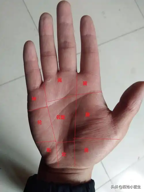 手掌八卦图各代表什么 八卦的现代释义解析_达一风水网