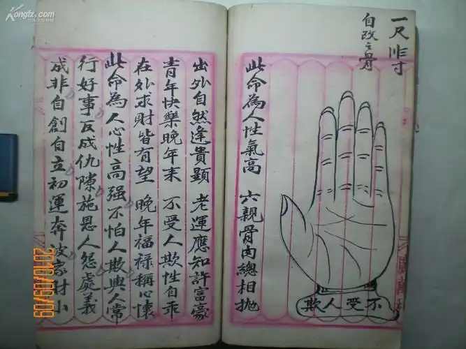 【图】清代手抄看手相书,拍品信息,网上拍卖,拍卖图片,拍卖网,拍卖
