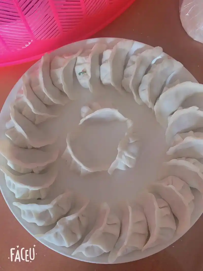 手工包饺子 #健康美食自己做 #真材实料才能做出好味道 - 抖音