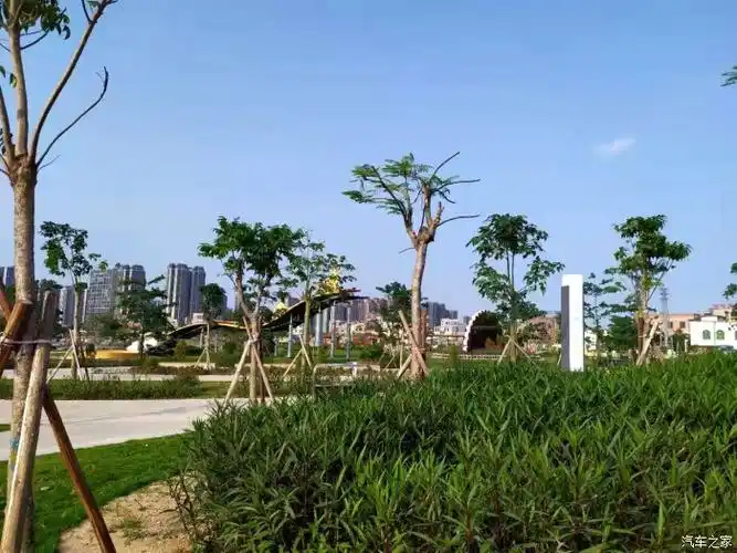 星瑞游记之站南公园