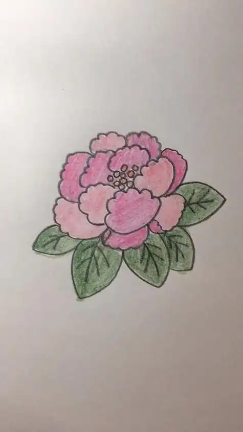 送给妈妈的礼物富贵牡丹花简笔画图片牡丹简笔画画法简单又漂亮小朋友