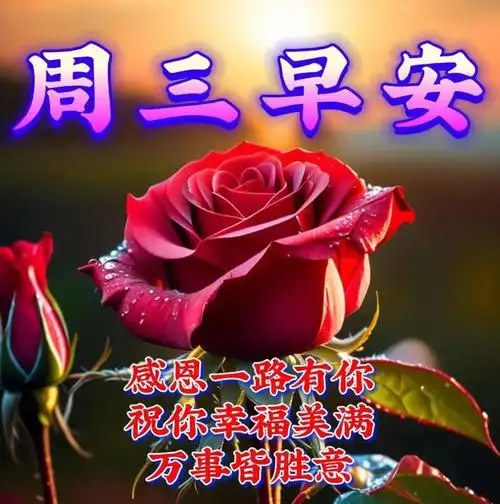 10月25日周三早上好,美好的一天开始了,最新版漂亮早安祝福语表情图片