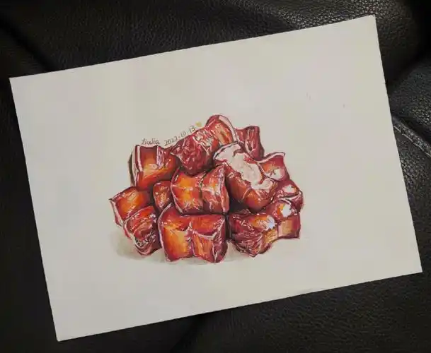 彩铅红烧肉