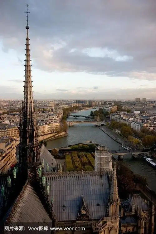 从巴黎圣母院顶端俯瞰