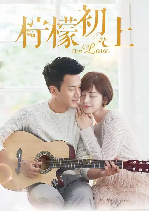 柠檬初上 dvd版-国产剧-全集在线观看「高清不卡」-天龙影院