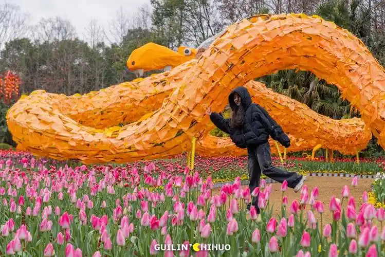 今年花展又有新品种了……_訾洲_桂林人_公园