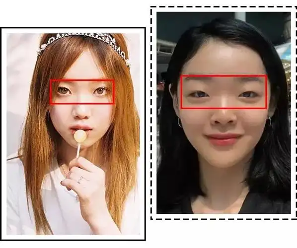 先来看看鼻子的结构,鼻子主要分为鼻梁,鼻头和鼻翼三大部分,三者构成