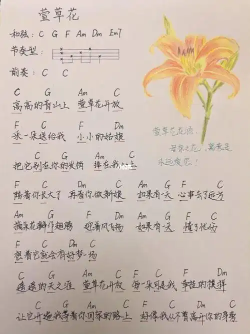 萱草花手绘版尤克里里谱