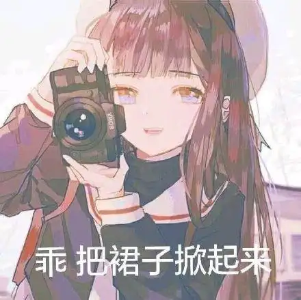 乖,把裙子掀起来_裙子_掀起表情