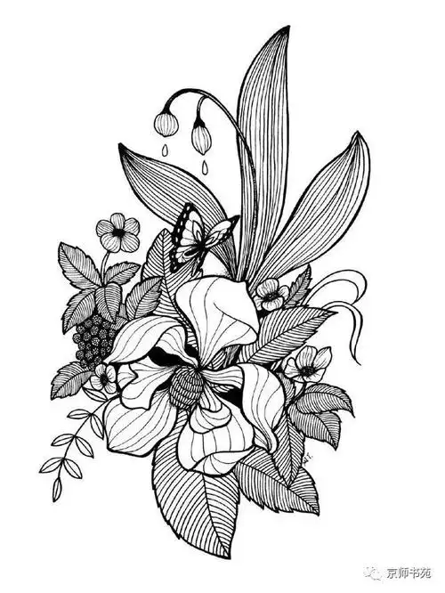 基础手绘练完这些线条你画出的线描就顺畅多啦