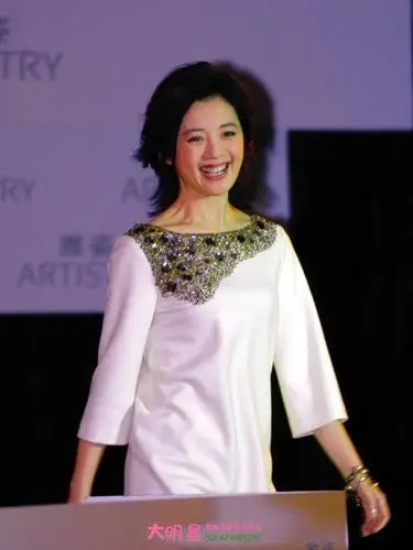 《名人面对面》主持人许戈辉个人资料和图片 许戈辉老公是谁