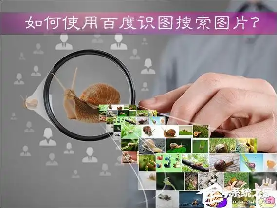 如何使用百度识图搜索图片百度识图怎么用
