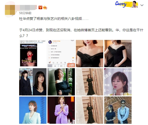 经纪人点赞张艺兴杨紫恋情演唱会照片被扒同上综艺毫不避嫌