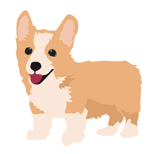 柯基狗狗小狗狗萌宠卡通手绘