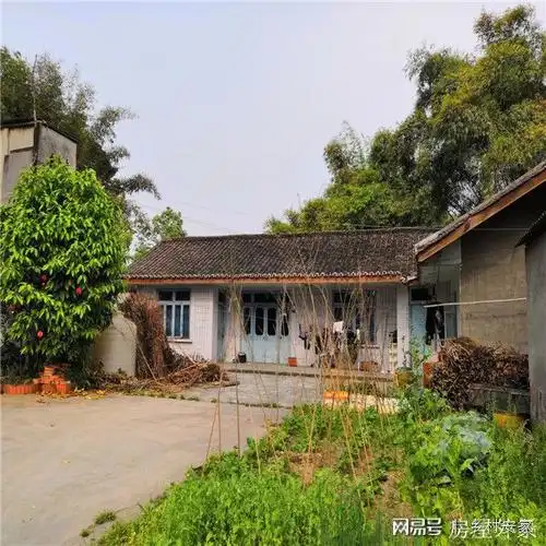 农村租房新津花源镇整村房屋出租年租金低至4000元