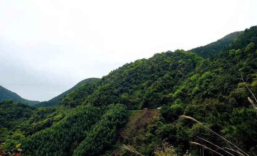 约吗自驾越野与你相约高山草甸