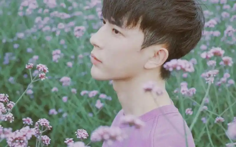 帅气花美男于朦胧,高清壁纸图片,大陆明星-回车桌面