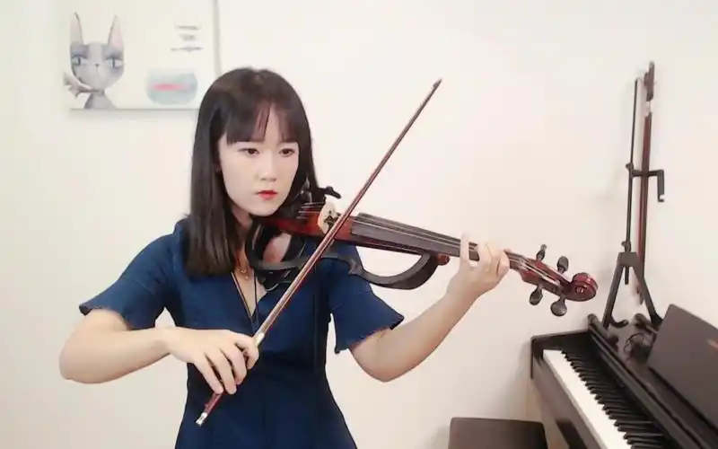 【电小提琴/揉揉酱】josh vietti演奏歌曲《where is the love》附小