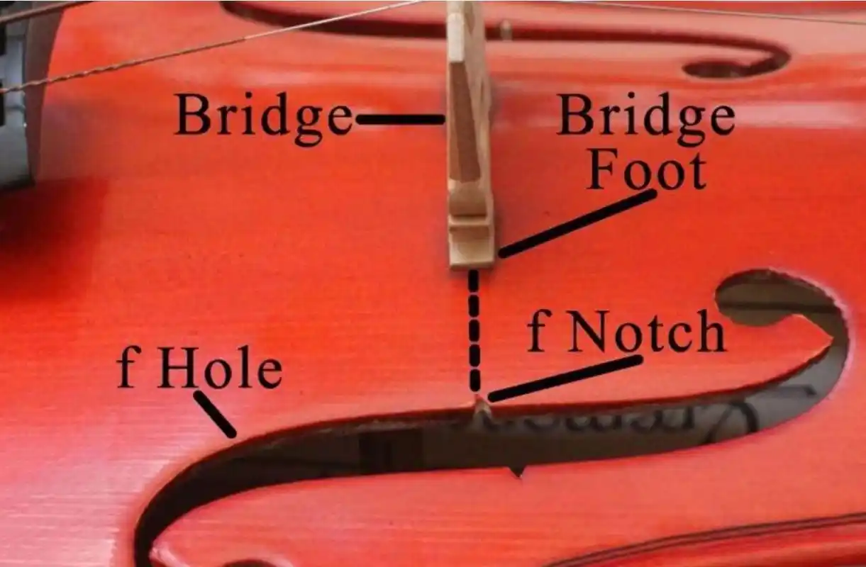 小提琴琴码一般放置在什么位置?