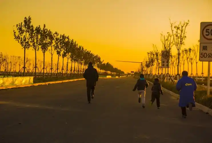 训练,迎着太阳奔跑